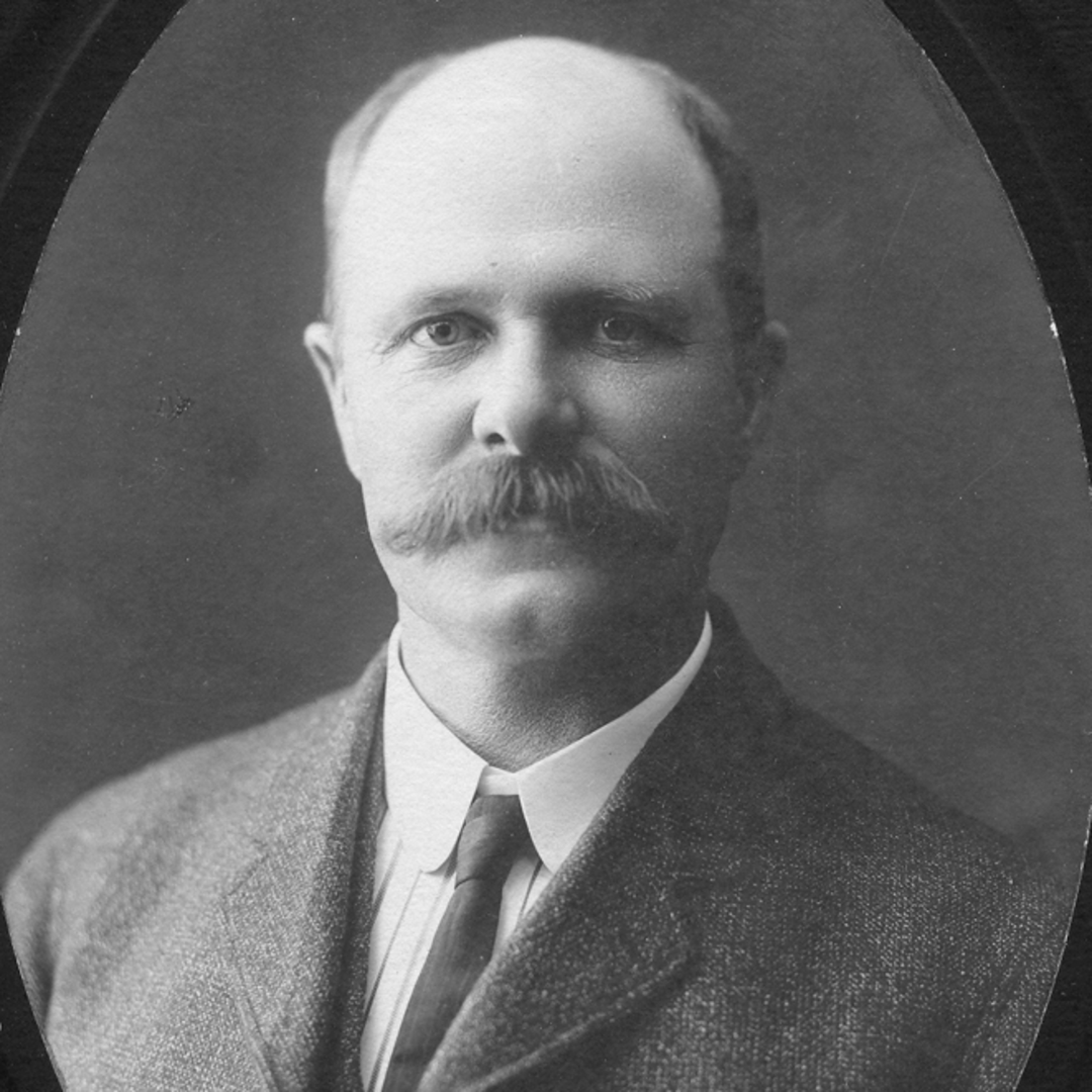 Thomas Timmins (1839 - 1925) Profile